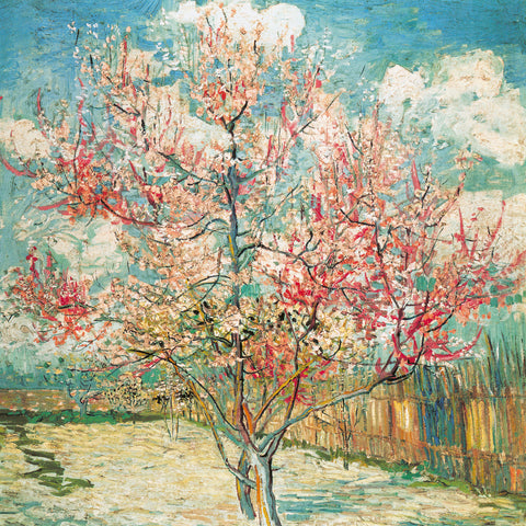 Broschürenkalender Vincent van Gogh 2026, 30 x 30 cm