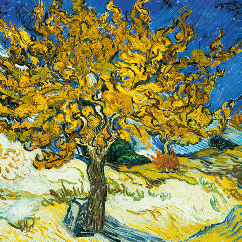 Broschürenkalender Vincent van Gogh 2026, 30 x 30 cm