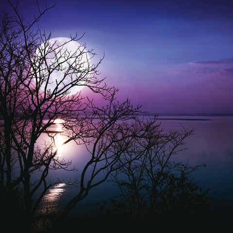 Broschürenkalender Mond 2026, 30 x 30 cm