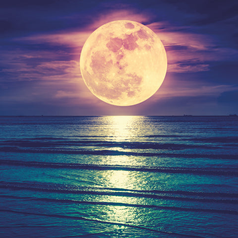 Broschürenkalender Mond 2026, 30 x 30 cm