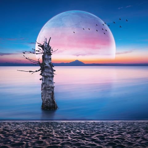 Broschürenkalender Mond 2026, 30 x 30 cm