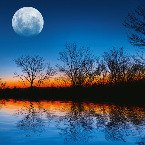 Broschürenkalender Mond 2026, 30 x 30 cm