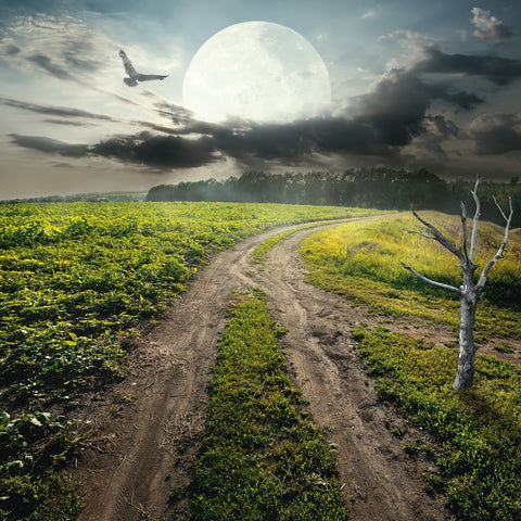 Broschürenkalender Mond 2026, 30 x 30 cm