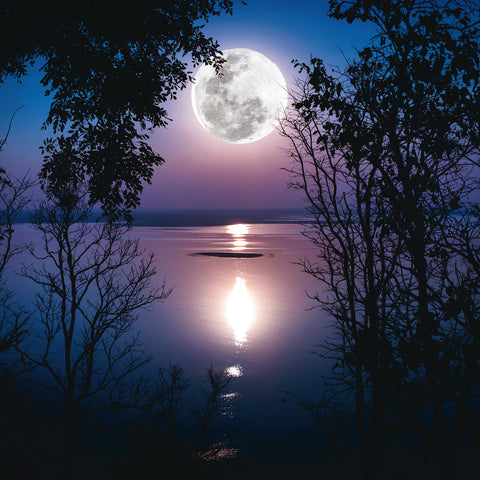 Broschürenkalender Mond 2026, 30 x 30 cm