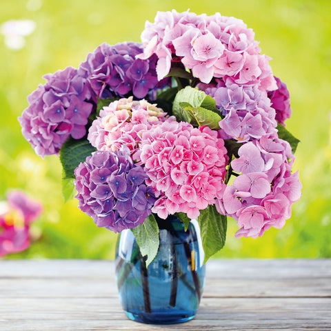 Broschürenkalender Blumen 2026, 30 x 30 cm