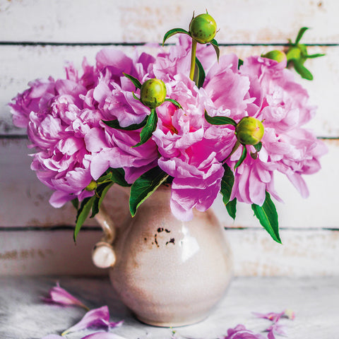 Broschürenkalender Blumen 2026, 30 x 30 cm