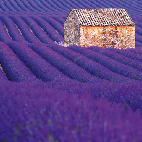 Broschürenkalender Provence 2026, 30 x 30 cm