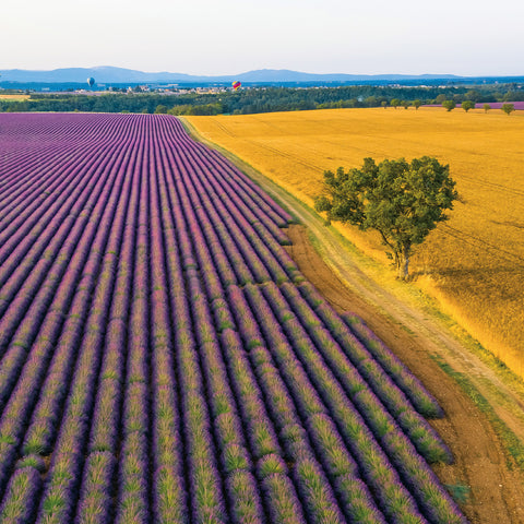 Broschürenkalender Provence 2026, 30 x 30 cm