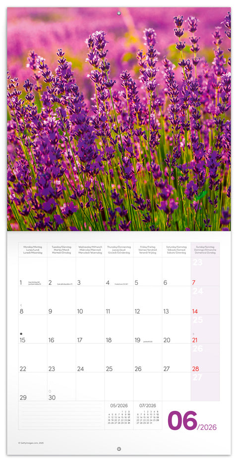 Broschürenkalender Provence 2026, 30 x 30 cm