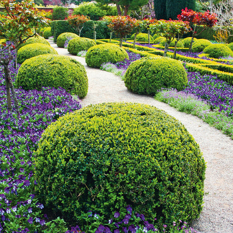 Broschürenkalender Gärten 2026, 30 x 30 cm