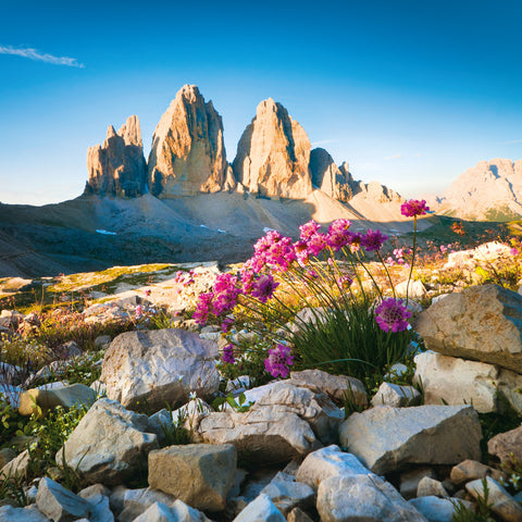 Broschürenkalender Alpen 2026, 30 x 30 cm