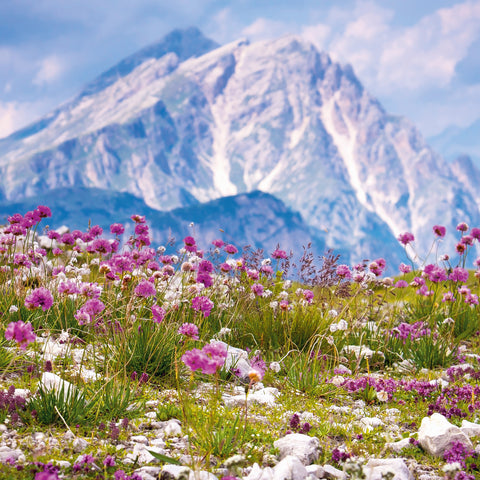 Broschürenkalender Alpen 2026, 30 x 30 cm