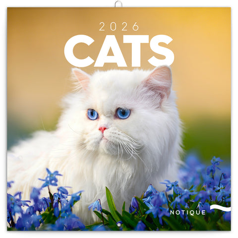 Broschürenkalender Katzen 2026, 30 x 30 cm