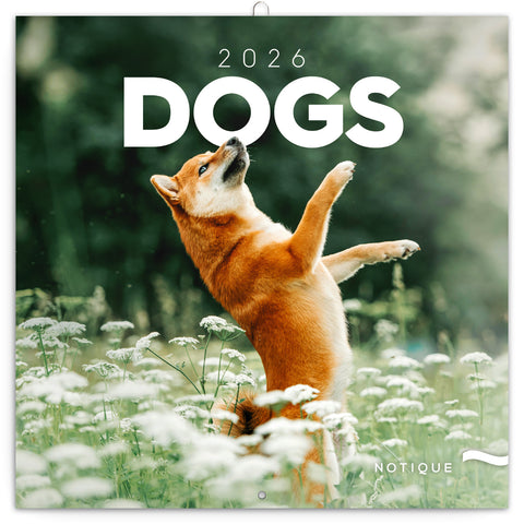 Broschürenkalender Hunde 2026, 30 x 30 cm