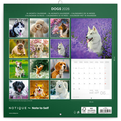 Broschürenkalender Hunde 2026, 30 x 30 cm