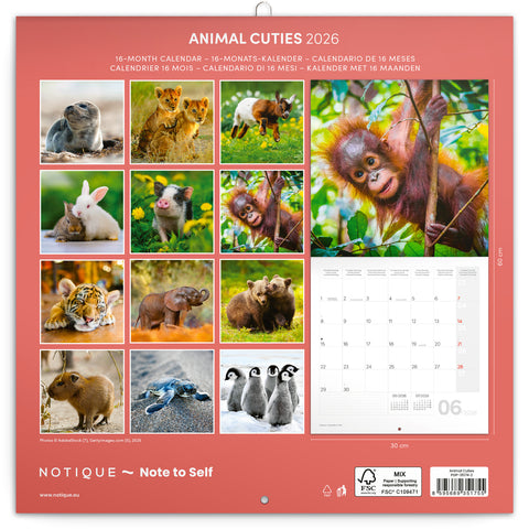 Broschürenkalender Jungtiere 2026, 30 x 30 cm