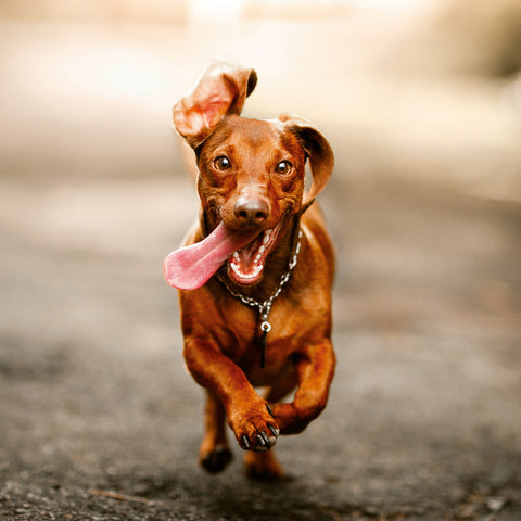 Broschürenkalender Bitte lächeln 2026, 30 x 30 cm