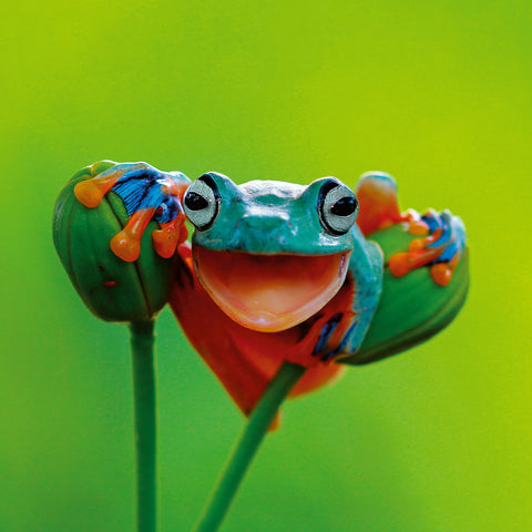 Broschürenkalender Bitte lächeln 2026, 30 x 30 cm