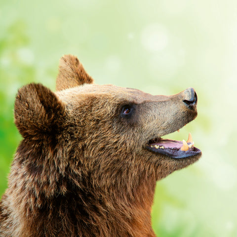 Broschürenkalender Bitte lächeln 2026, 30 x 30 cm