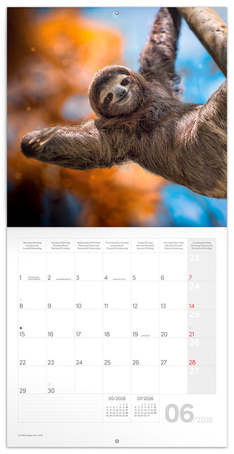 Broschürenkalender Bitte lächeln 2026, 30 x 30 cm