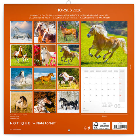 Broschürenkalender Koně – Christiane Slawik 2026, 30 x 30 cm
