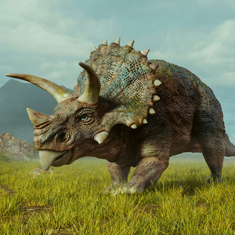 Broschürenkalender Dinosaurier 2026, 30 x 30 cm