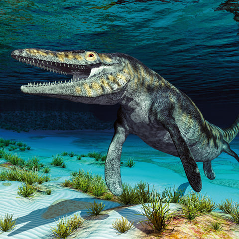 Broschürenkalender Dinosaurier 2026, 30 x 30 cm