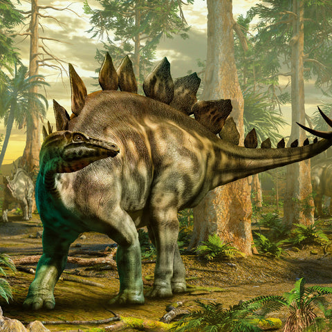 Broschürenkalender Dinosaurier 2026, 30 x 30 cm