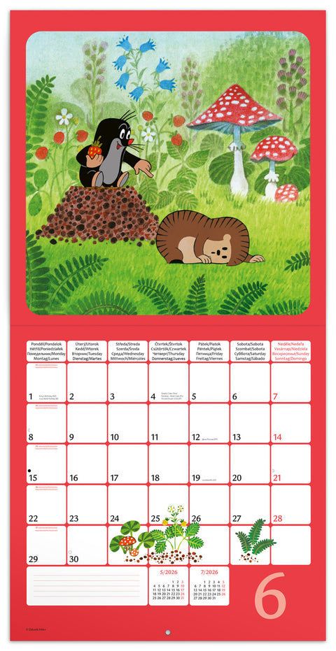 Broschürenkalender Der kleine Maulwurf 2026, 30 x 30 cm
