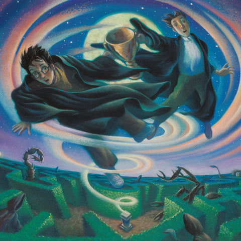 Broschürenkalender Harry Potter 2026, 30 x 30 cm