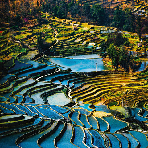 Broschürenkalender Unser Planet 2026, 30 x 30 cm