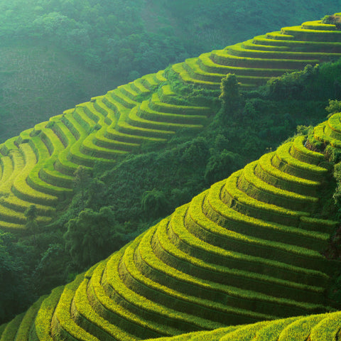 Broschürenkalender Unser Planet 2026, 30 x 30 cm