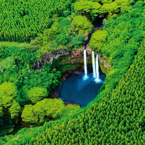 Broschürenkalender Regenwälder 2026, 30 x 30 cm