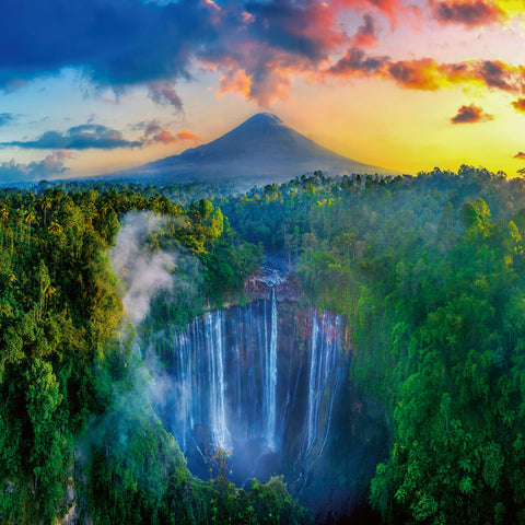 Broschürenkalender Regenwälder 2026, 30 x 30 cm