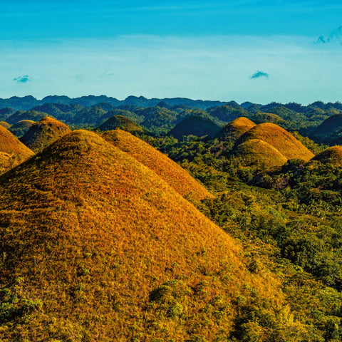 Broschürenkalender Regenwälder 2026, 30 x 30 cm