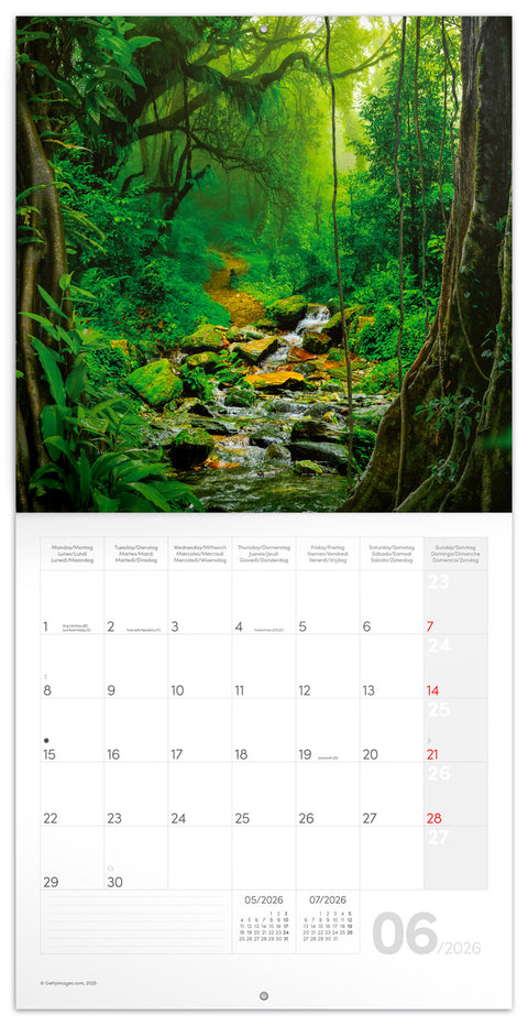 Broschürenkalender Regenwälder 2026, 30 x 30 cm