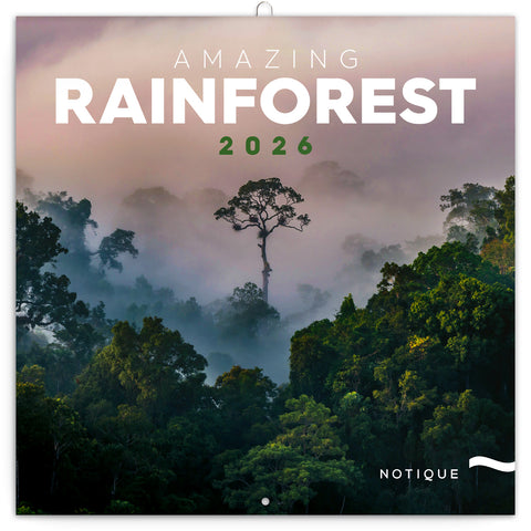 Broschürenkalender Regenwälder 2026, 30 x 30 cm