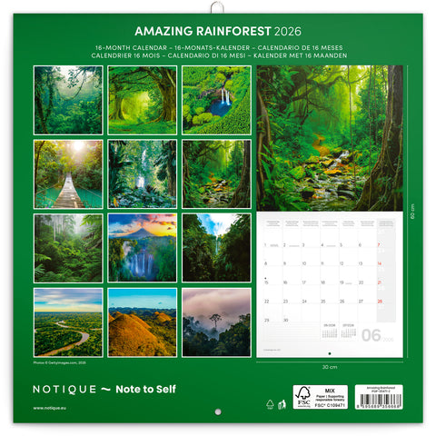 Broschürenkalender Regenwälder 2026, 30 x 30 cm