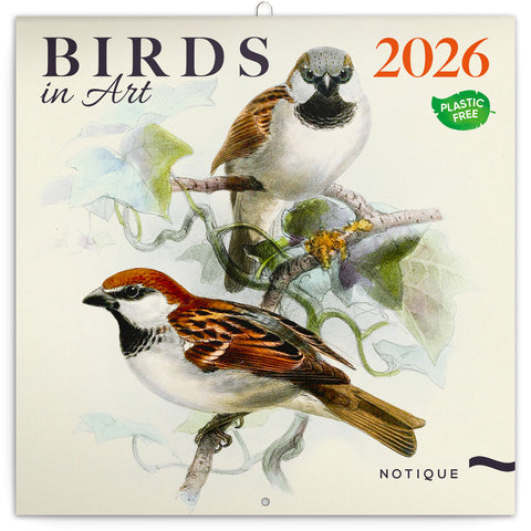 Broschürenkalender Vögelchen 2026, 30 x 30 cm