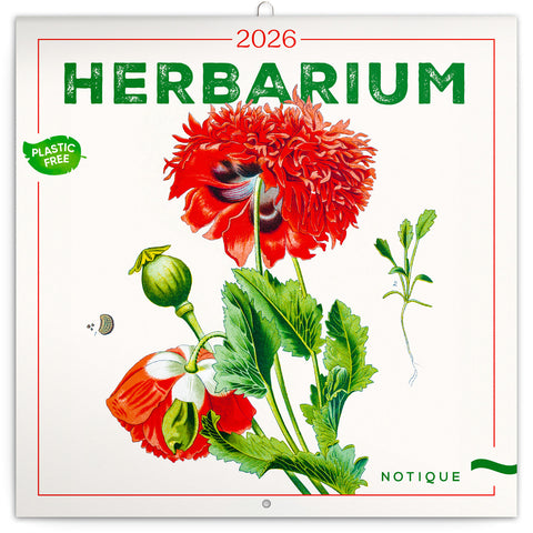 Broschürenkalender Herbarium 2026, 30 x 30 cm