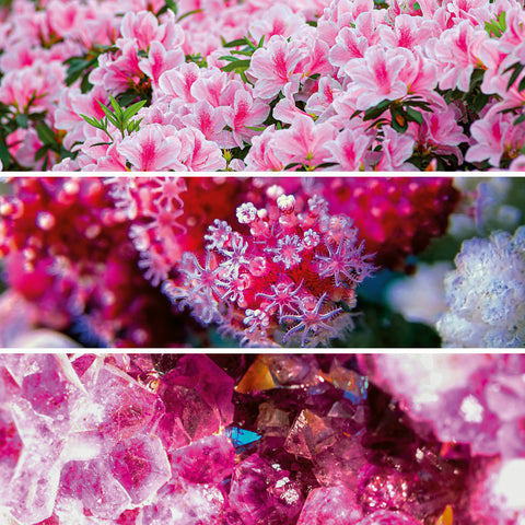 Broschürenkalender Palette 2026, 30 x 30 cm