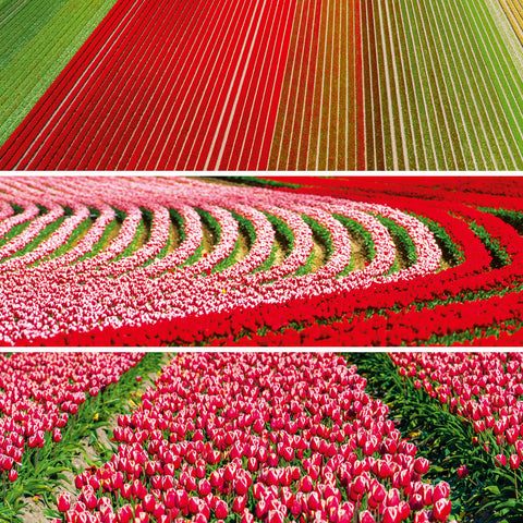 Broschürenkalender Palette 2026, 30 x 30 cm