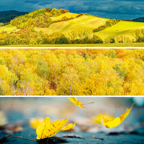 Broschürenkalender Palette 2026, 30 x 30 cm