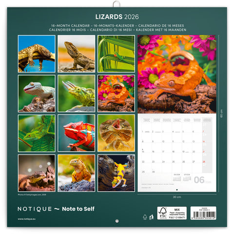 Broschürenkalender Echsen 2026, 30 x 30 cm