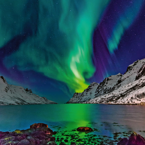 Broschürenkalender Polarlichter 2026, 30 x 30 cm