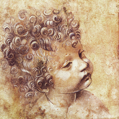 Broschürenkalender Leonardo da Vinci 2026, 30 x 30 cm