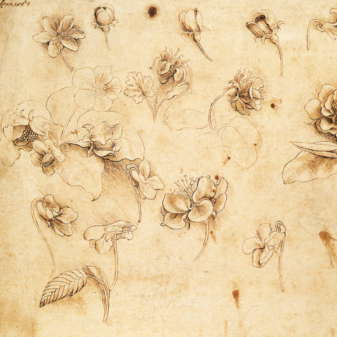 Broschürenkalender Leonardo da Vinci 2026, 30 x 30 cm