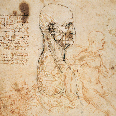 Broschürenkalender Leonardo da Vinci 2026, 30 x 30 cm