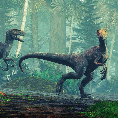 Broschürenkalender Dinosaurs 2027, 30 x 30 cm