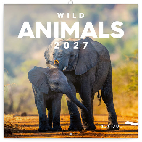 Broschürenkalender Wild Animals 2027, 30 x 30 cm